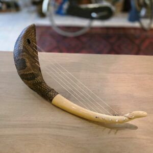 traditionele Afrikaanse adungu snaarinstrument met slangenhuid en snaren